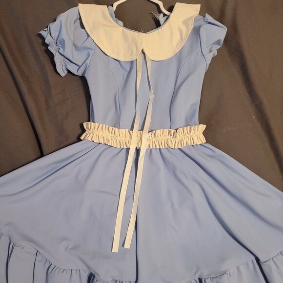 A Wish Come True "Whisper What I Know" Dance Costume - Picture 2 of 2